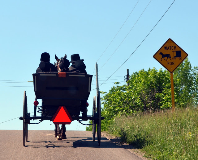 Amish buggies