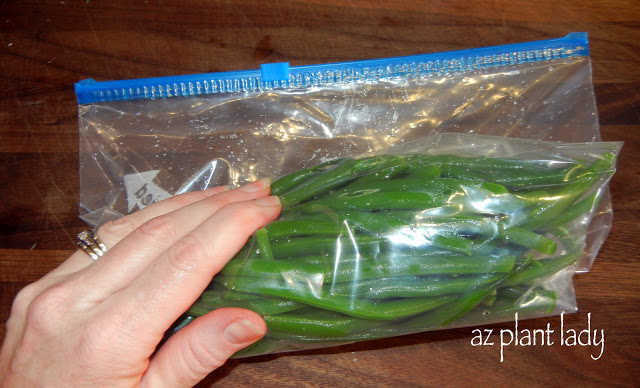 plastic freezer bag