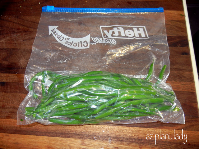 plastic freezer bag