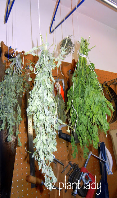 dry your herbs