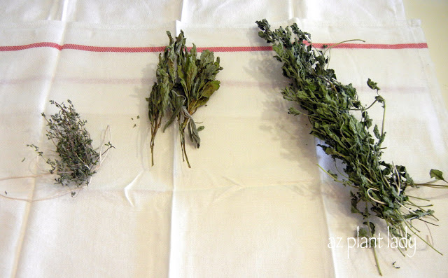 dry your herbs