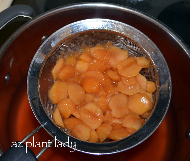 Peach Vinegar