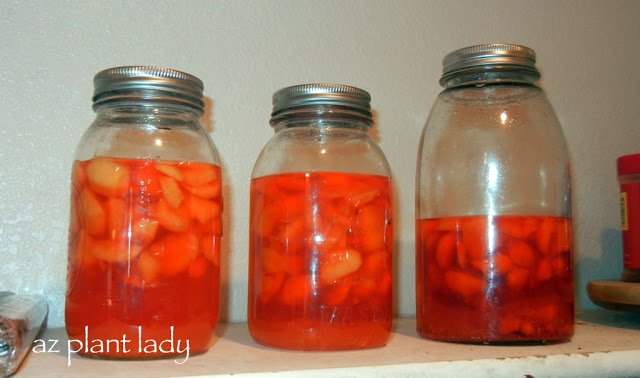 Peach Vinegar