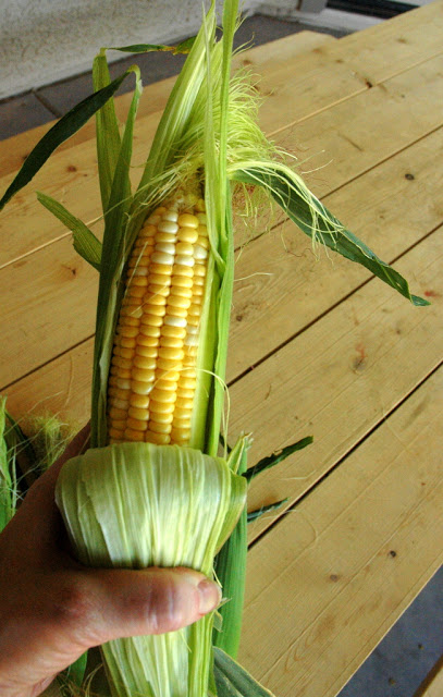 Roasted corn recipe starts with fresh corn