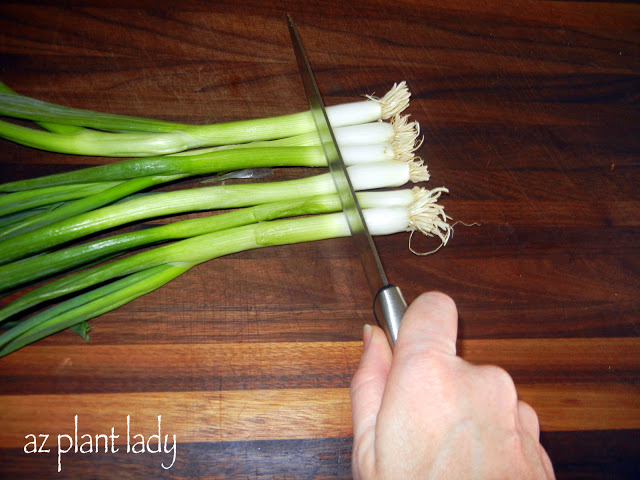 Green Onions