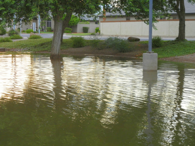 monsoon season