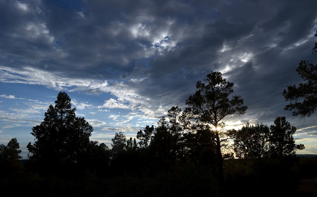 Northern Arizona 