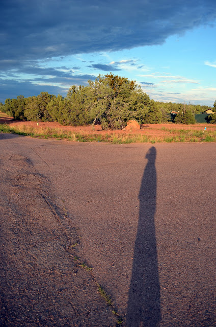 Northern Arizona 