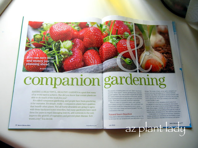 Companion Gardening
