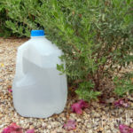 Portable Drip Irrigation With a Recycled Milk Jug