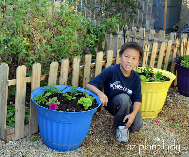 Grow Vegetables in Pots!