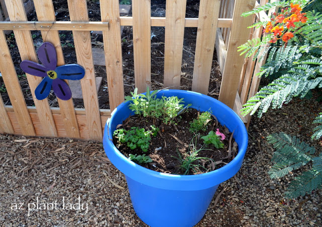 Herb Container