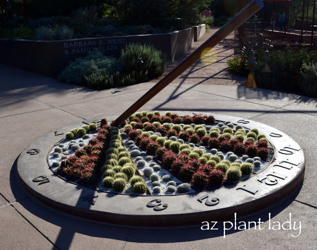 Sundial made out of cacti