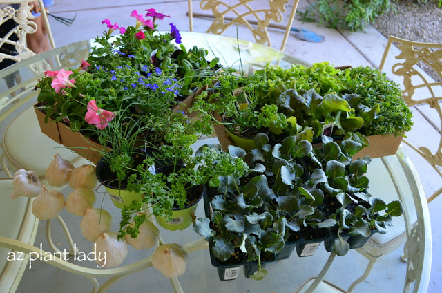 Grow Vegetables in Pots!