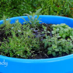 Warm-Season-Herb-Container