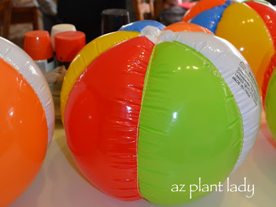 beach balls used for paper mache pumpkins