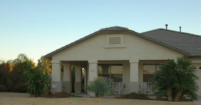 The yucca, desert spoon, and pygmy date palm all did well while the trailing lantana did not.