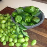 My Green Tomatoes