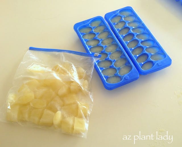 lemon ice cubes