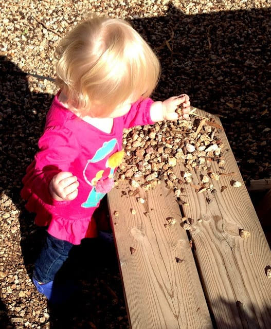 Picking Vegetables or Rocks?