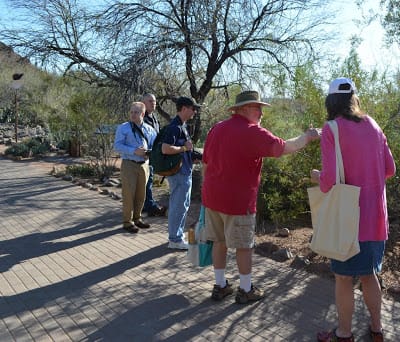 Desert Botanic Gardens