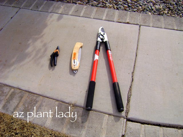 Hand pruners, pruning saw and loppers 