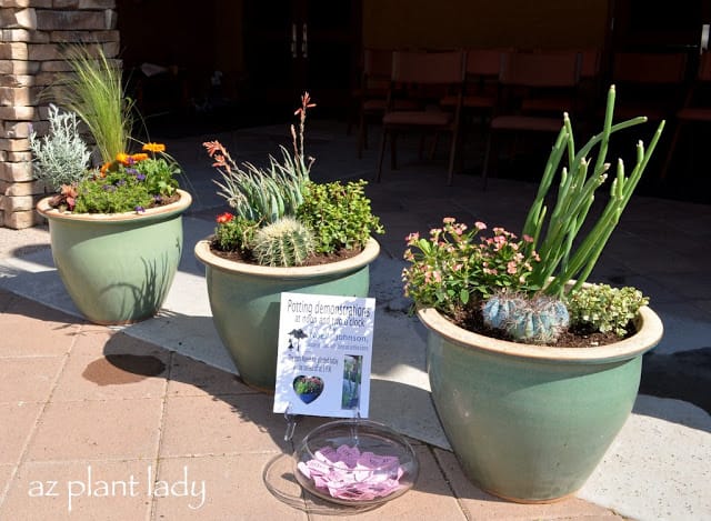 Potting Demonstration