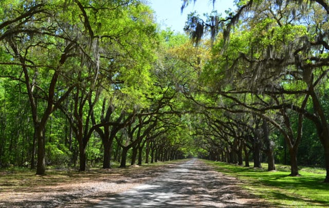 Savannah, Georgia
