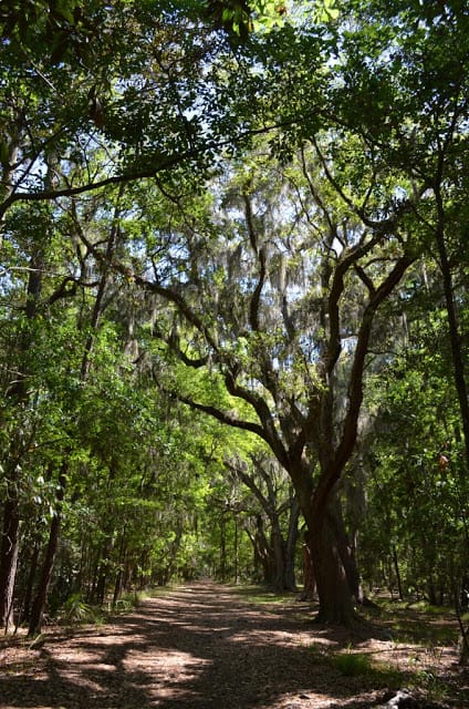 Savannah, Georgia
