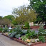 perennial beds