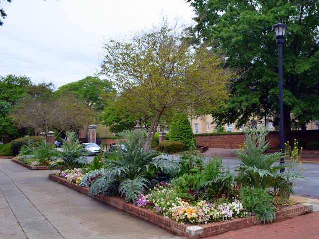 perennial beds