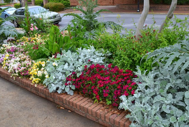 perennial beds