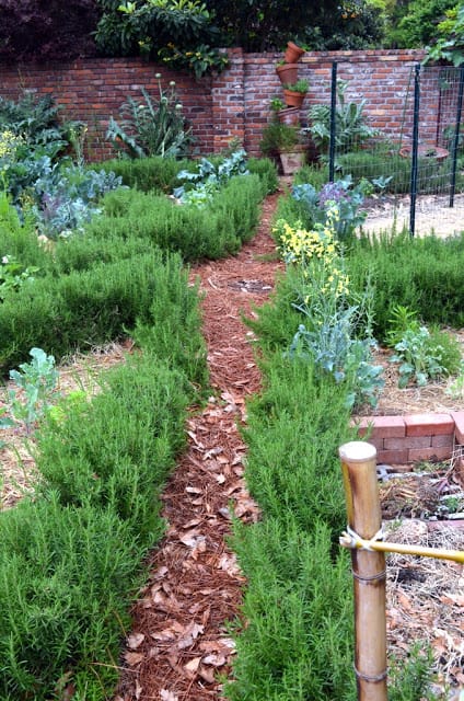 community garden