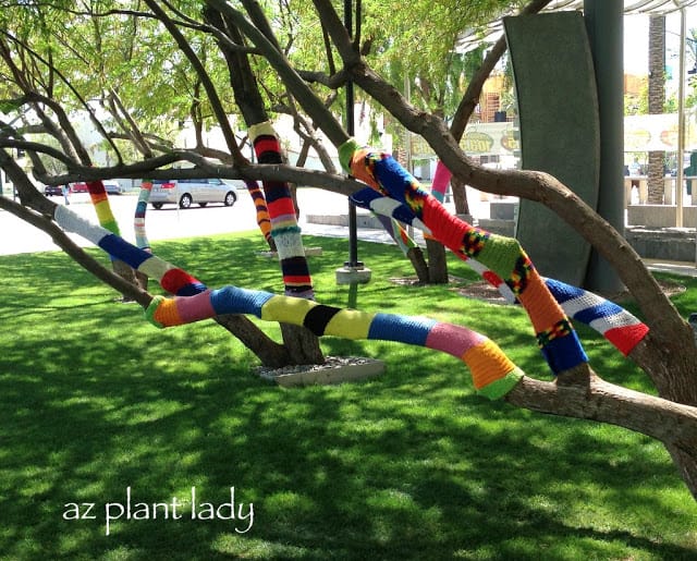 Knit Scarves for Trees