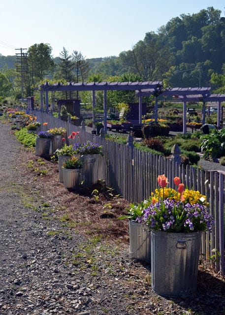 kitchen garden