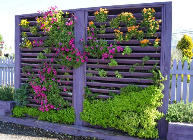 kitchen garden