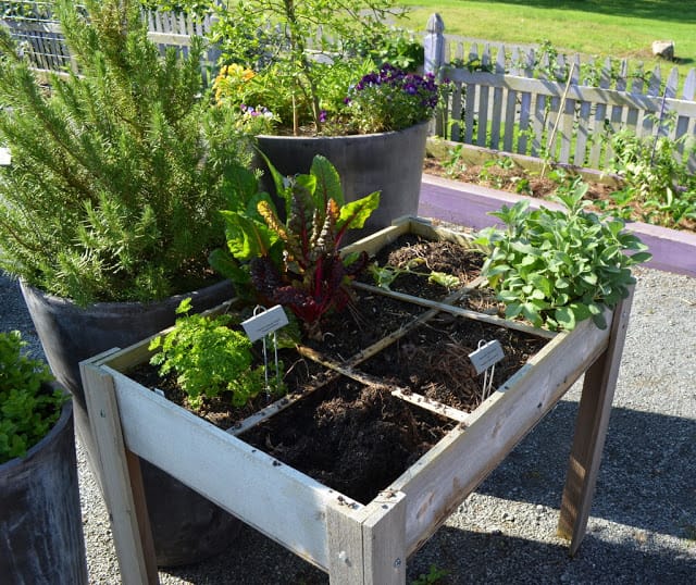 square-foot gardening