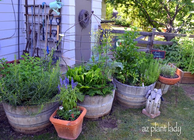 Arcadia Edible Garden