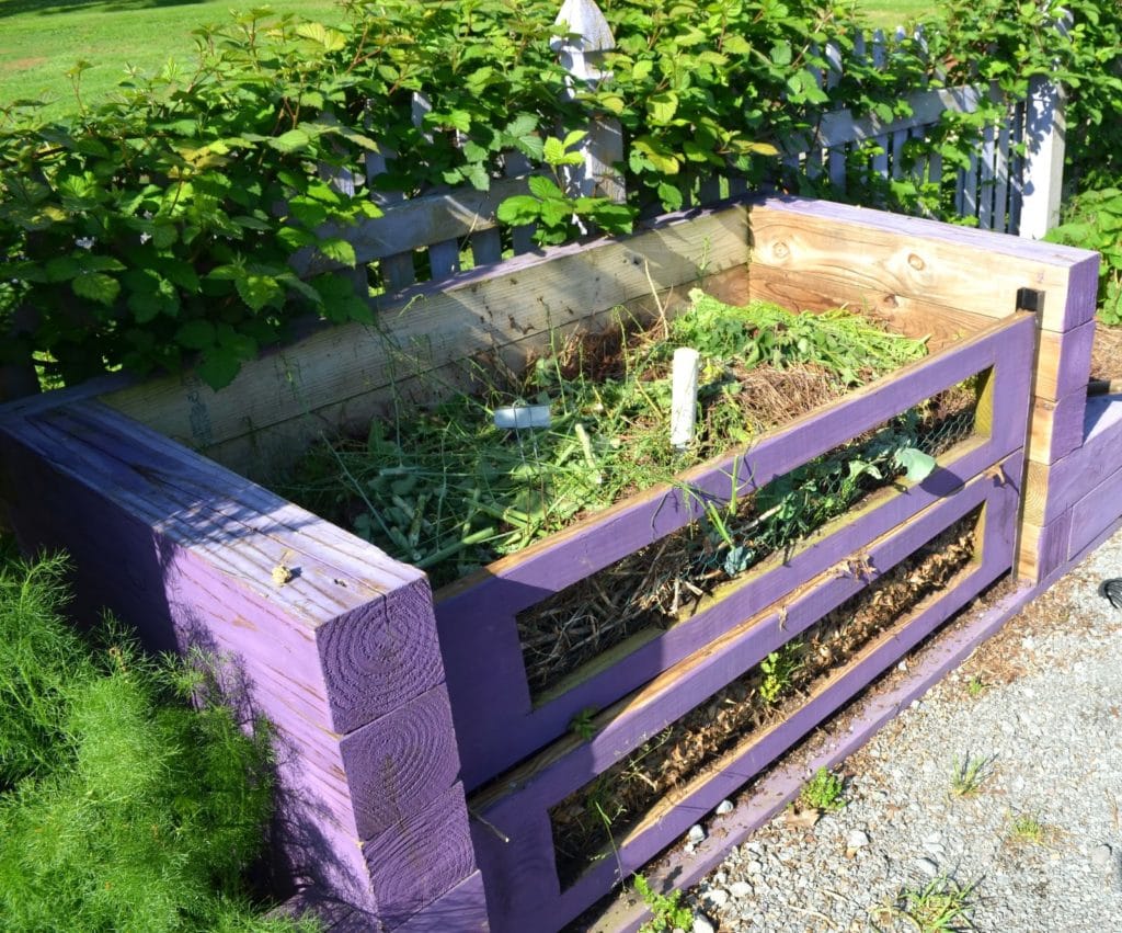 kitchen garden