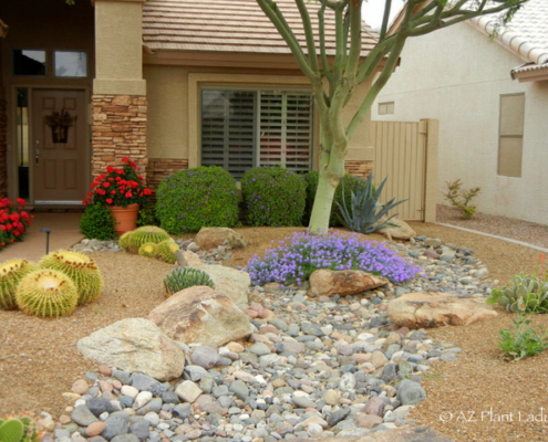 desert-landscape
