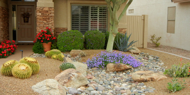 How Much Water Do My Plants Need, Desert Landscape Plants Arizona