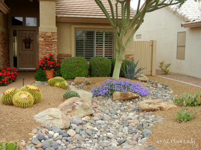 Arizona-front-yard-landscape-design - Desert Gardening 101