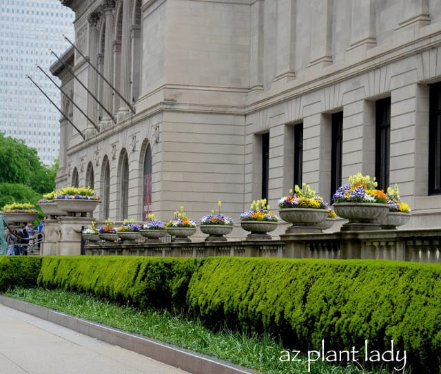 downtown Chicago 