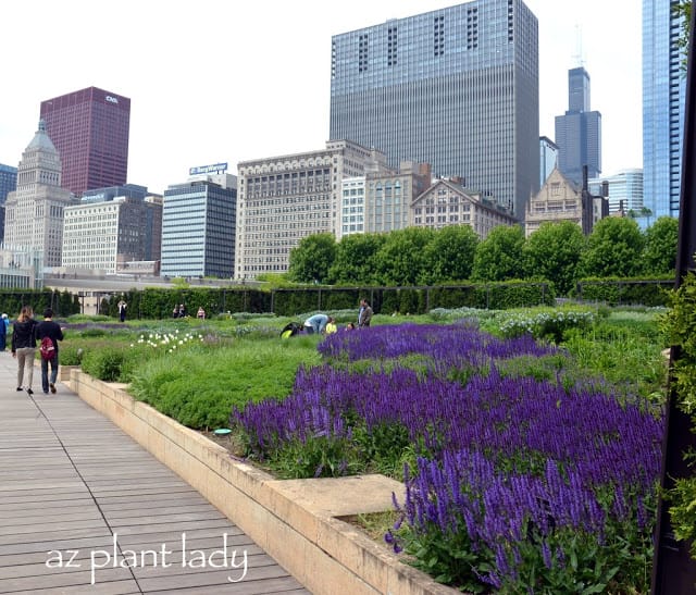 Green Spaces of Chicago