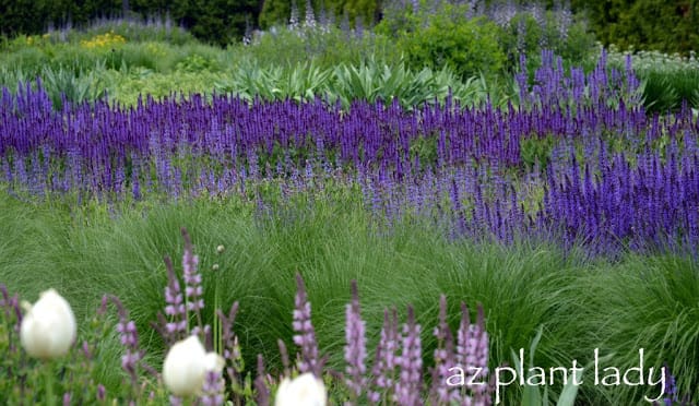 Green Spaces of Chicago