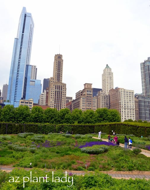 Green Spaces of Chicago