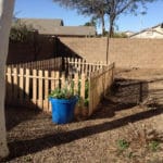 My Summer Edible Garden