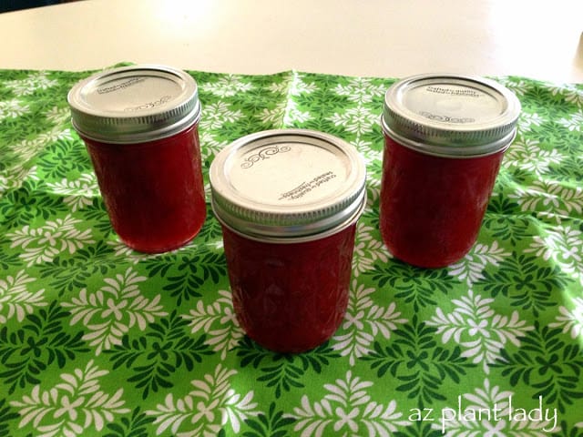 plum jam