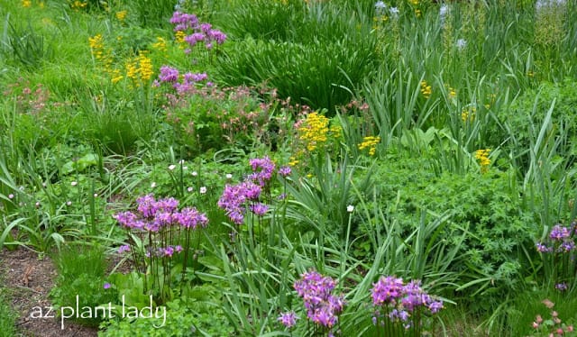 Green Spaces of Chicago