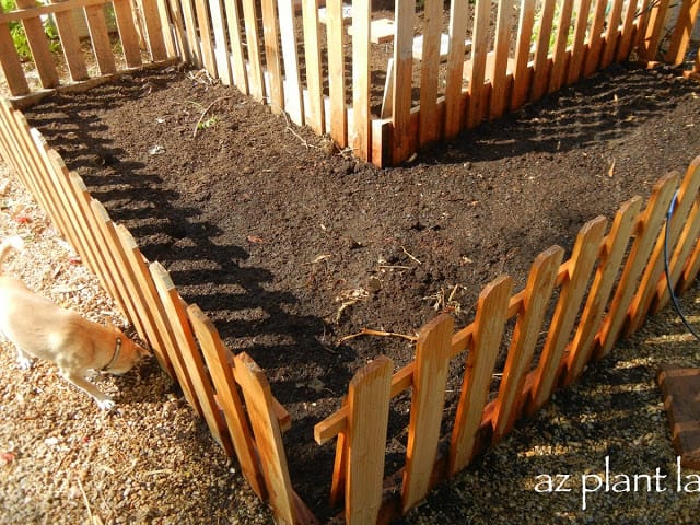 vegetable garden